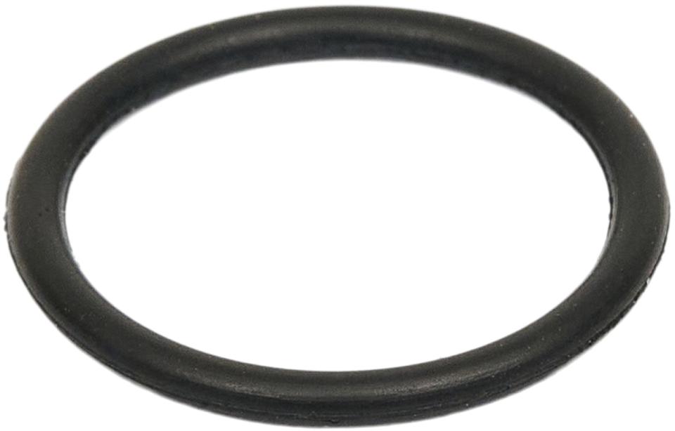 4FISH O-ring t/pumpehoved t/AT39009 (150is)