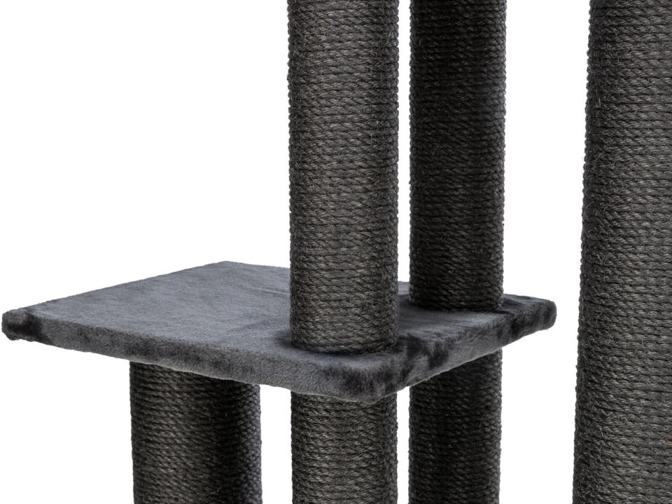 Trixie Antonio kattetræ