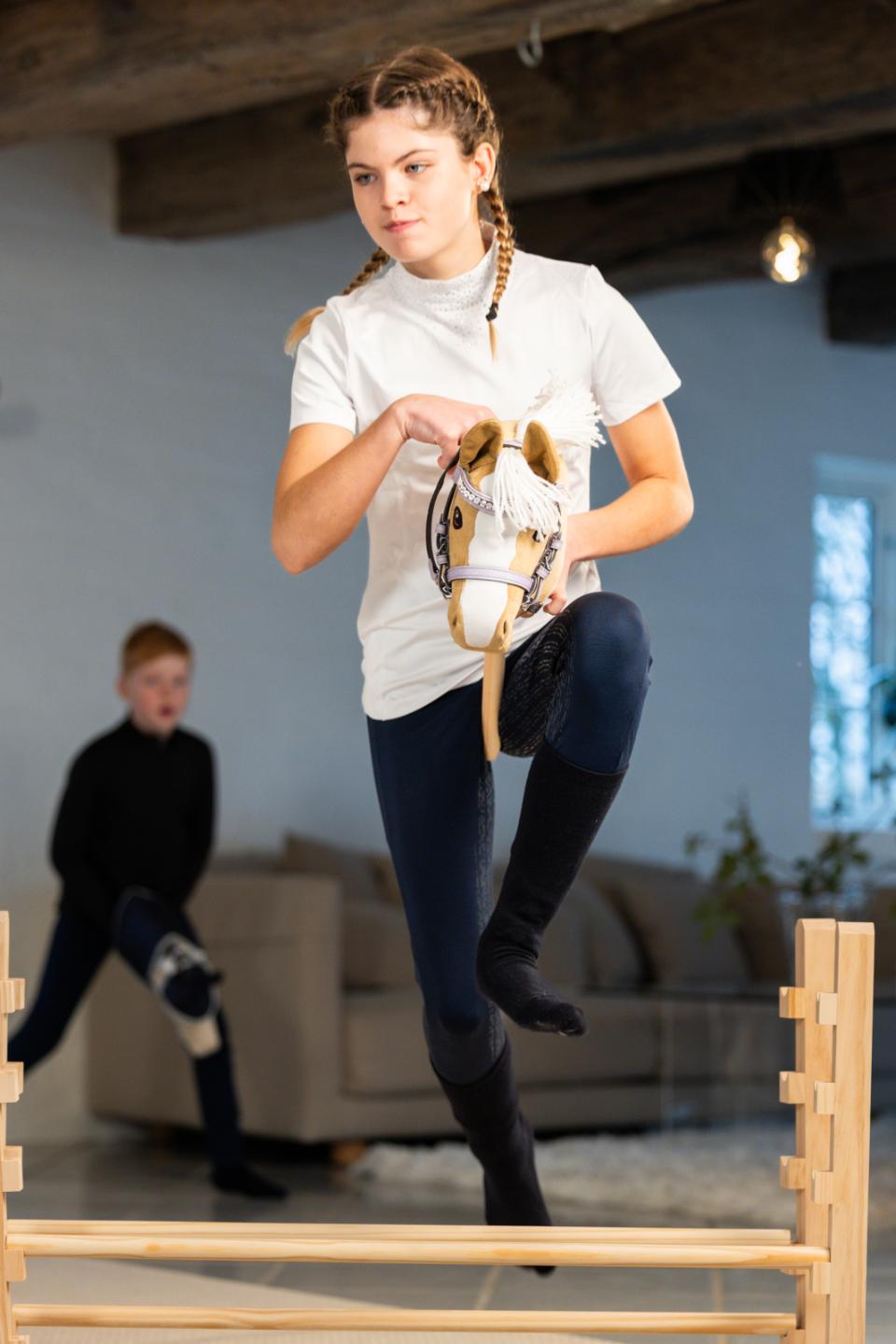 My Hobby Horse-trense, lavender glitter