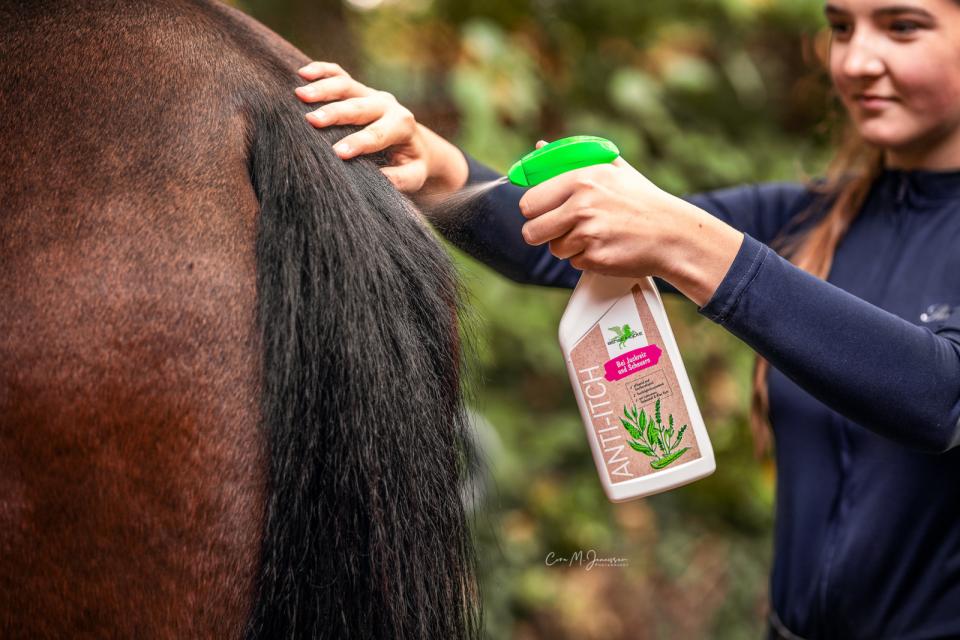 Bense & Eicke Antiklåda