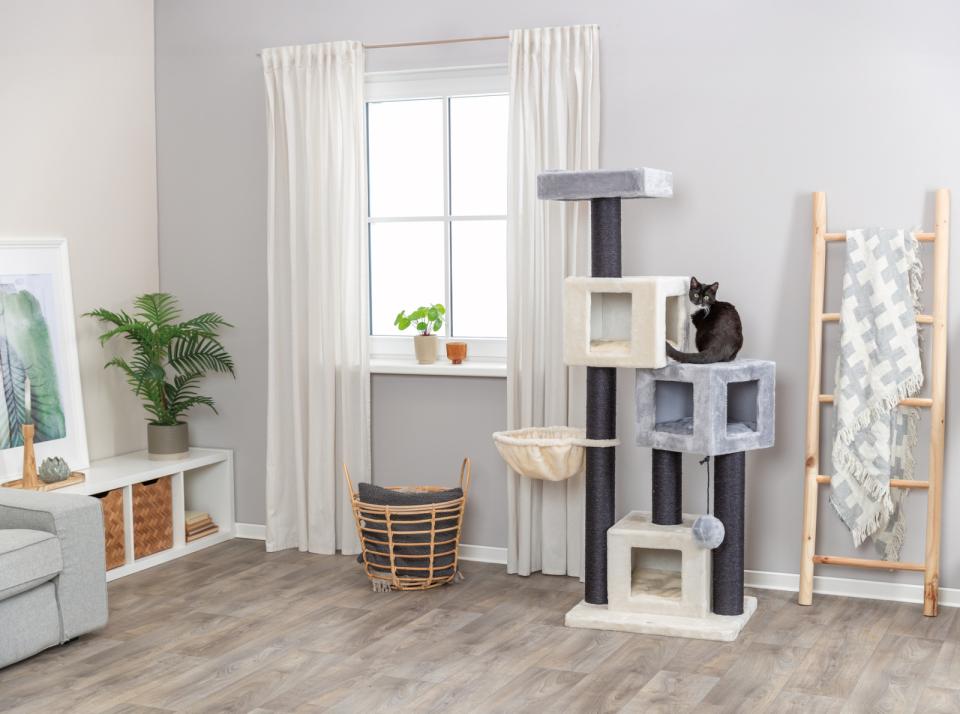 Trixie Enzo kradsetræ