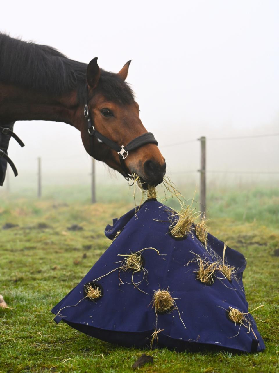 Horse Guard Pillow hay bag