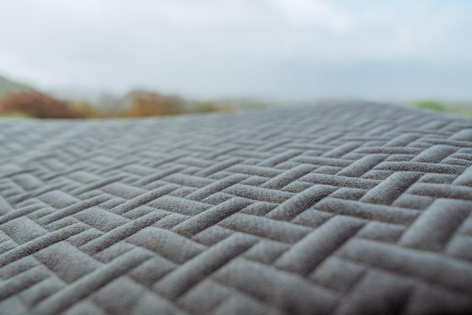 Companion Cocoon Niels hundeseng