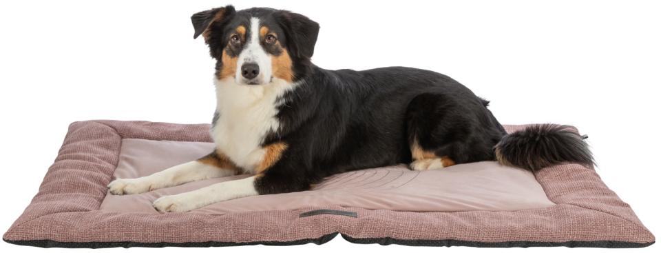 Trixie Viviana lying mat