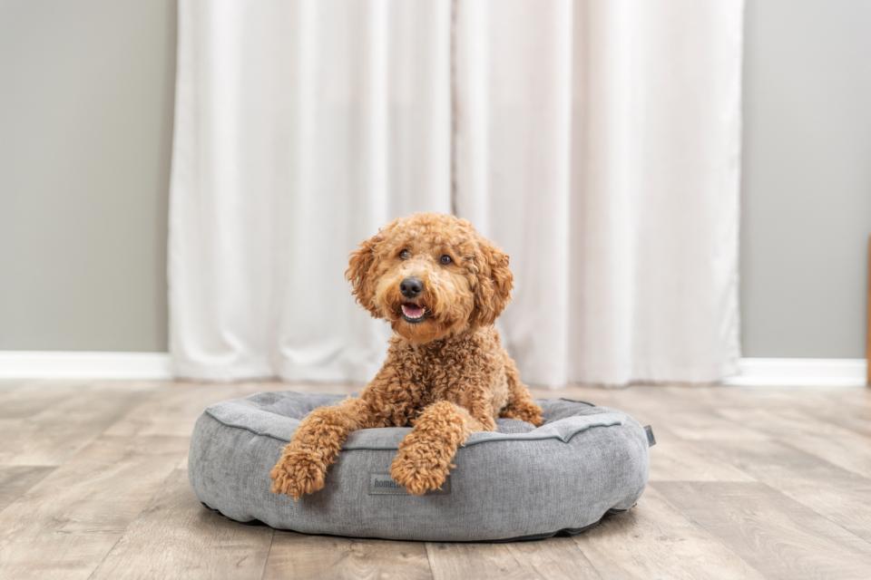 Trixie Vital Bed Lennox, Chenille, Round