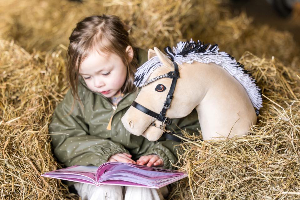 My Hobby Horse Bridle, black with silver stones