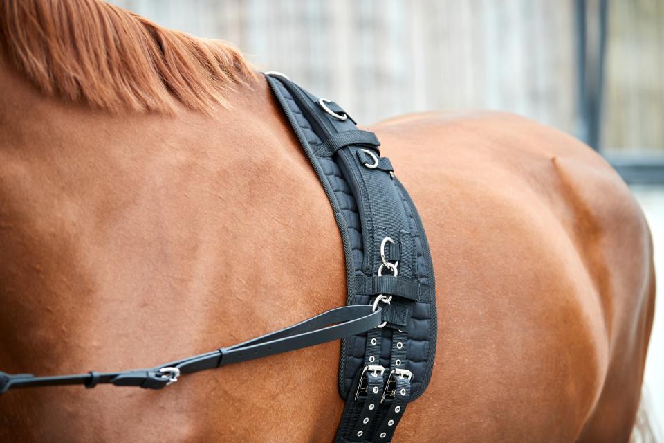 HorseGuard Kali longeringsunderlag