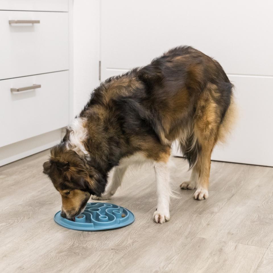 Slow Feeding mat, TPE