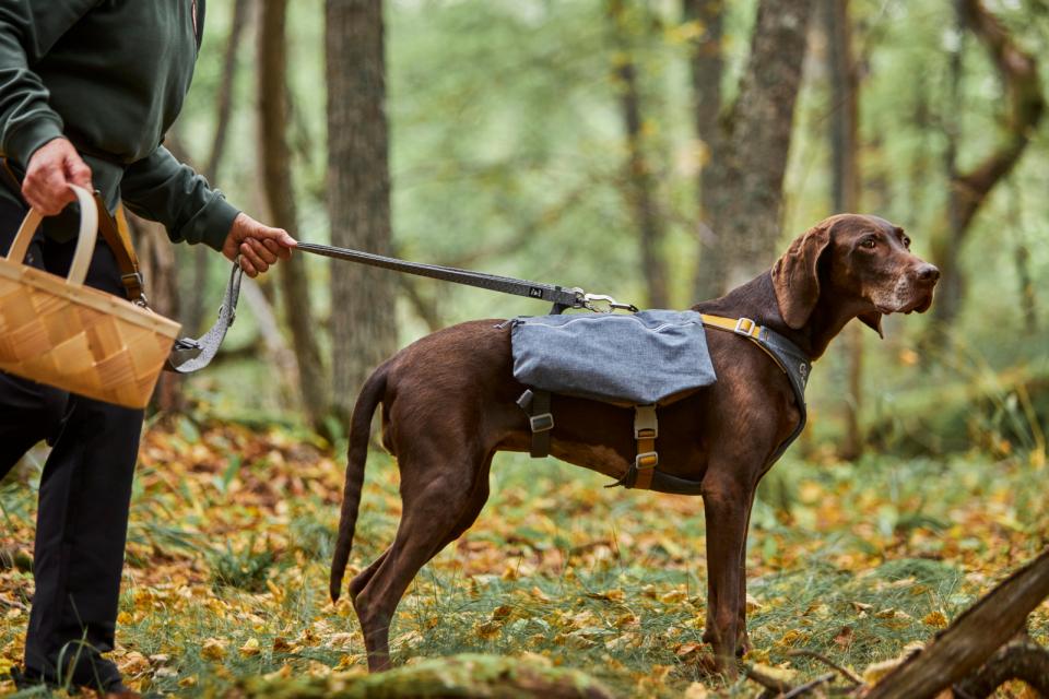 Hurtta Expedition Pack ECO hundesele