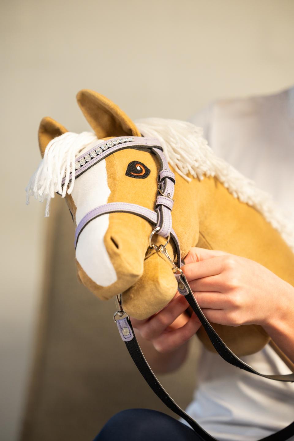 My Hobby Horse-trense, lavender glitter