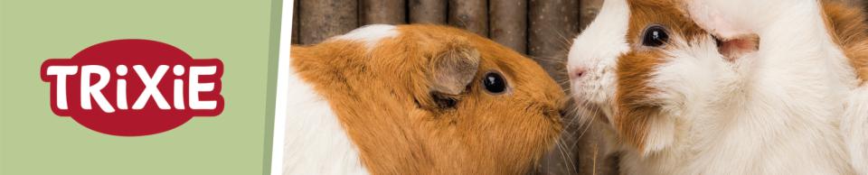 Magnetisk skilt gnaverartikler