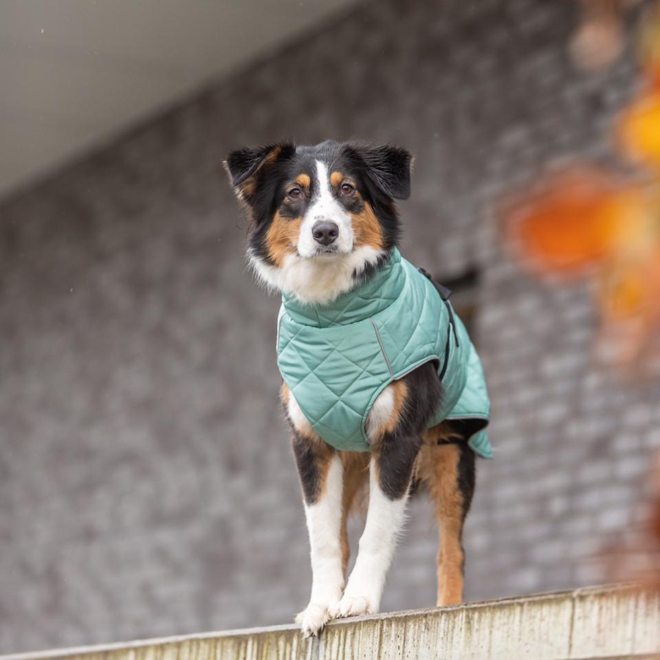 Trixie CityStyle Oslo frakke til hunde