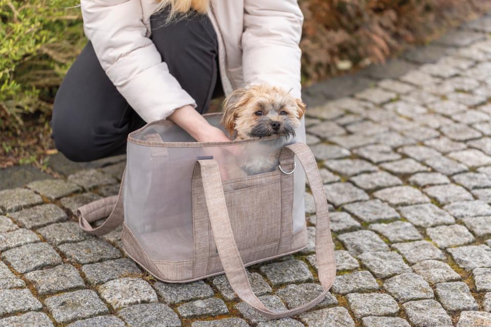 Trixie Mary transporttaske