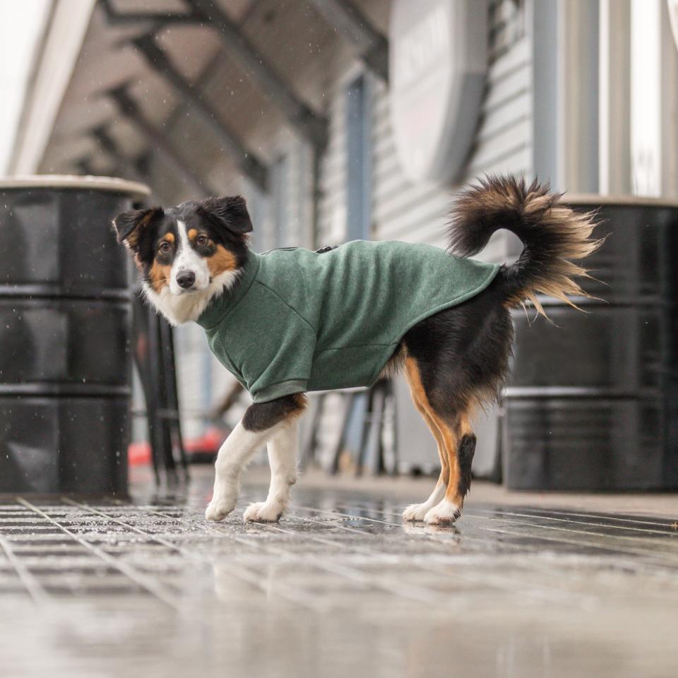 Trixie CityStyle Amsterdam sweatshirt til hunde