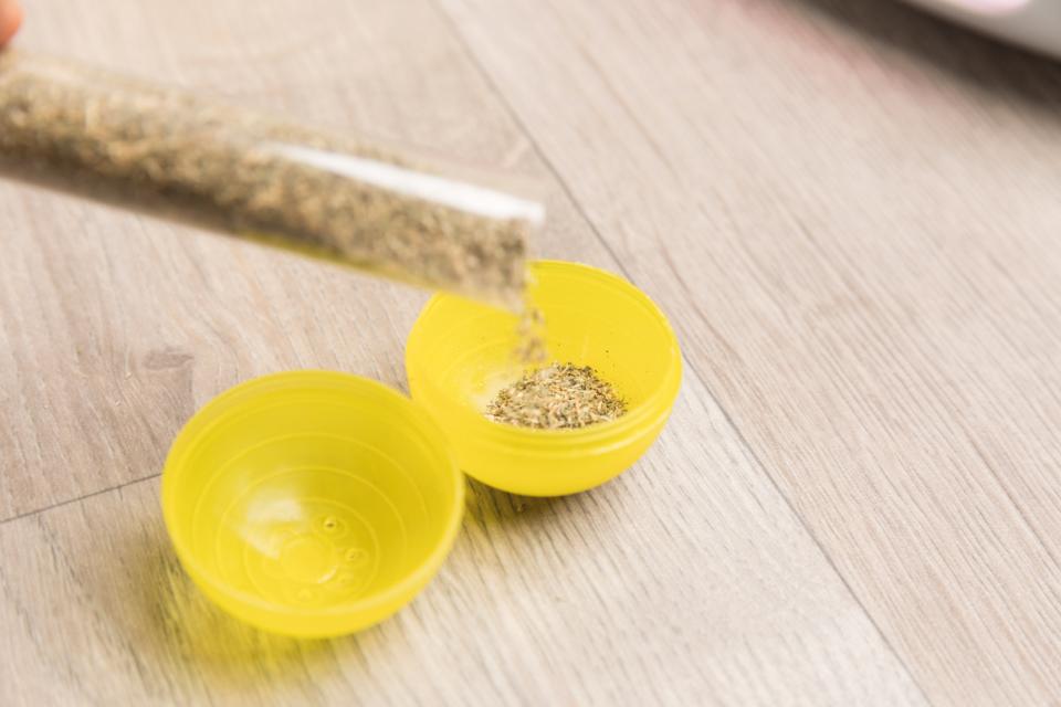 Katte legetøj Race & Scratch