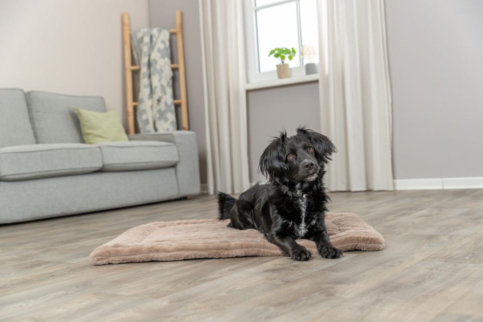 Trixie Lonni liggeunderlag, fløyel fleece