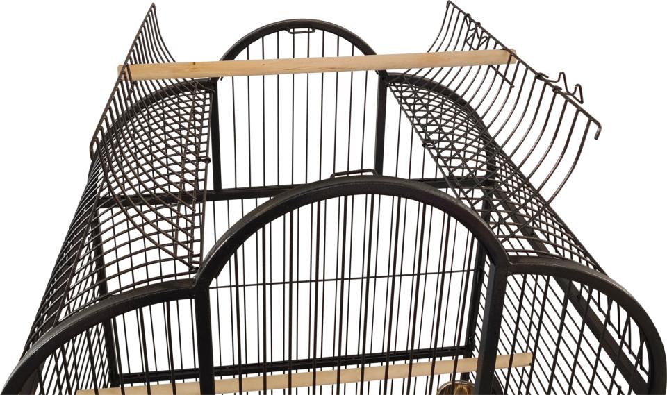 Companion Bow Papegojbur