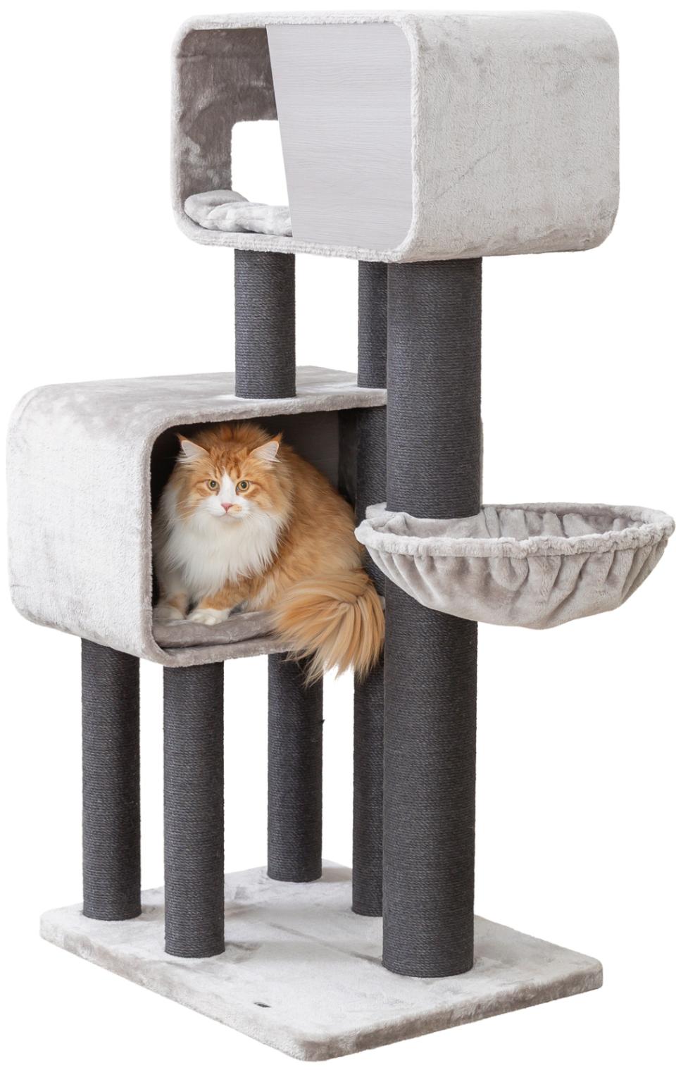 Trixie kattetræ XXL Rafael