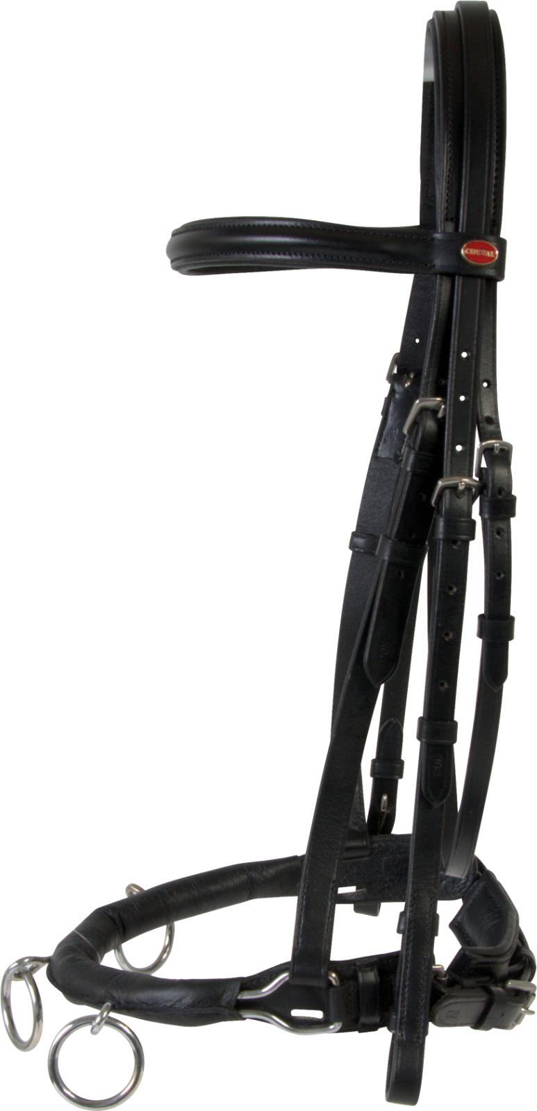 HorseGuard Cheval kapsun