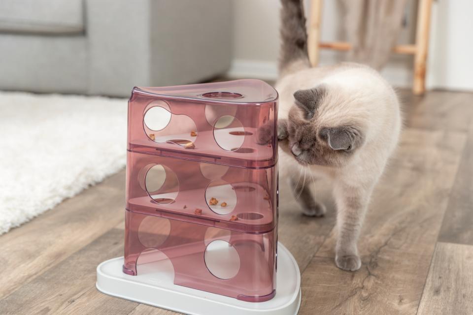 Trixie Aktivitetstårn