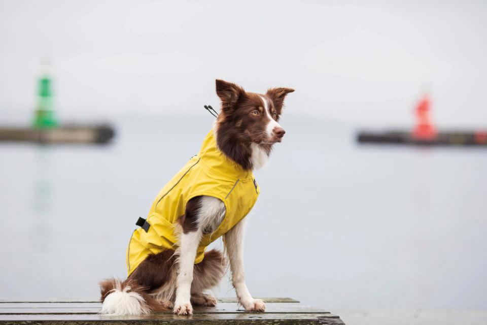 Trixie Vimy hunderegnfrakke