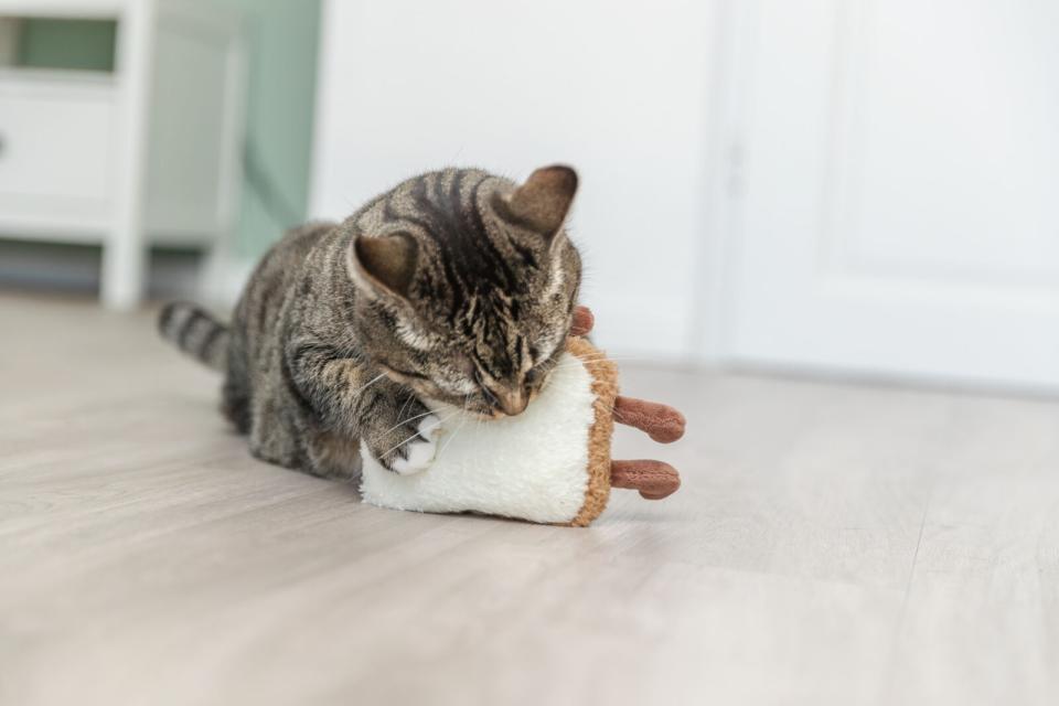 Trixie Toast XXL kattelegetøj