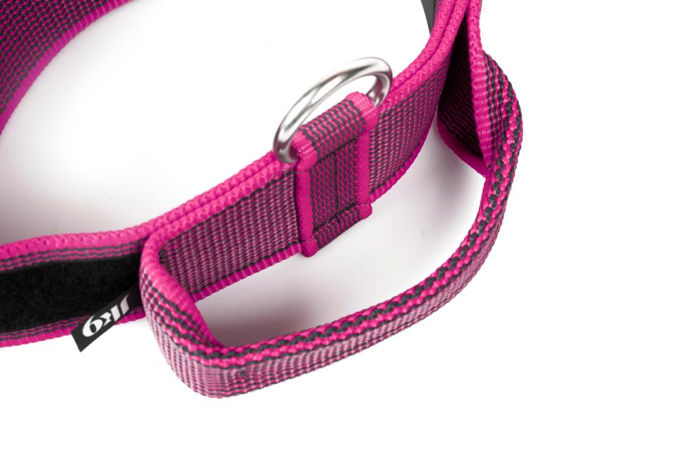 Julius-K9 C&G collars with handle