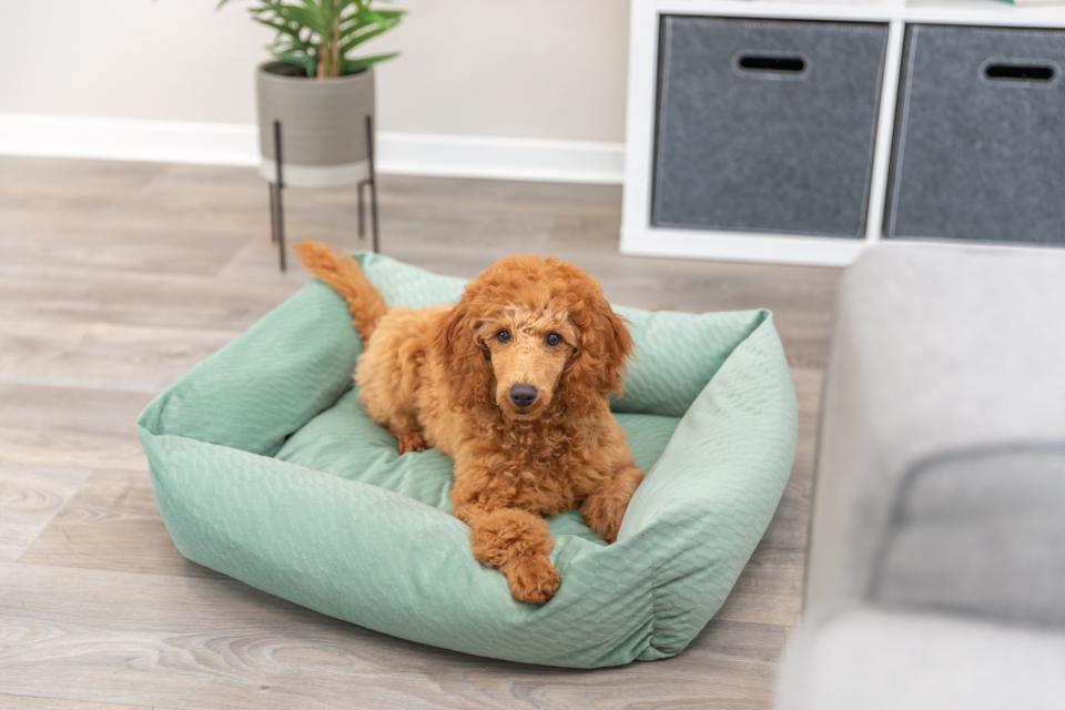 Trixie Alena firkantet hundeseng