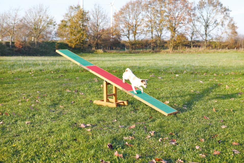 Agility Vippe