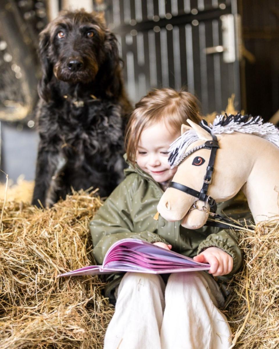 My Hobby Horse Bridle, black with silver stones