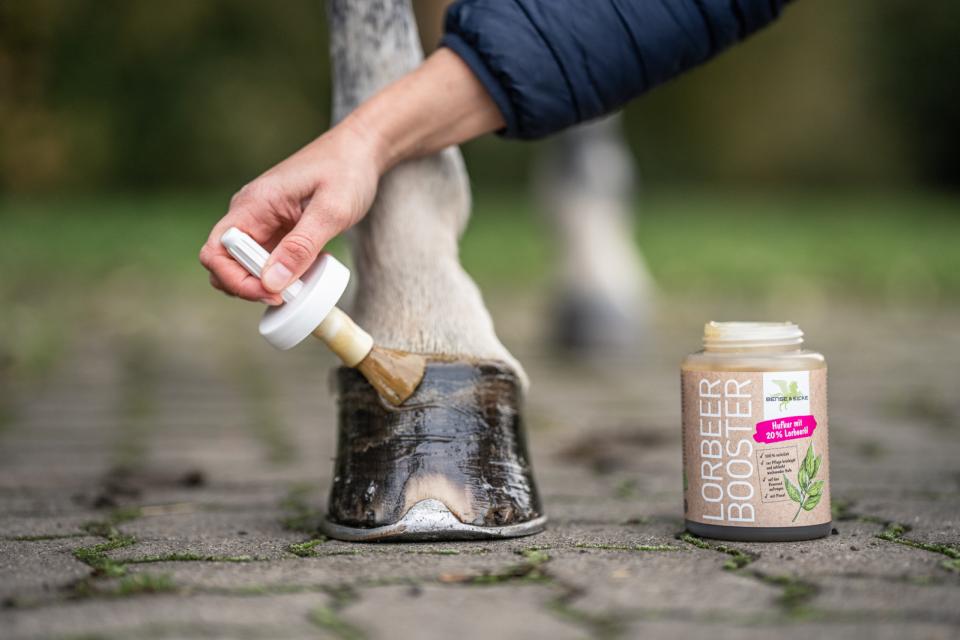 Bense & Eicke Laurbærbooster hovolie