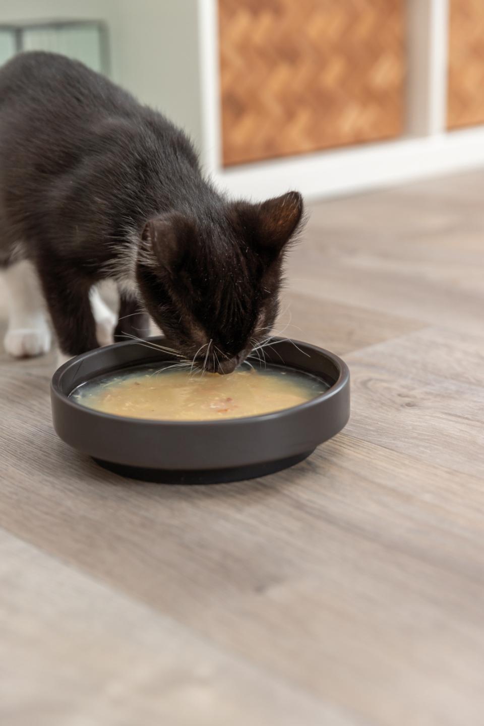 Trixie suppe med kylling og laks