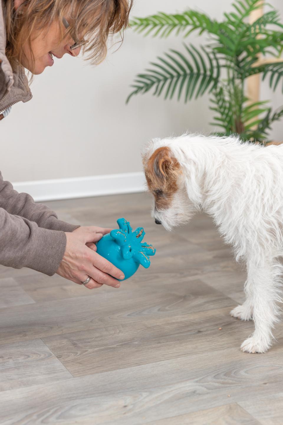 Trixie Snack-Octopus