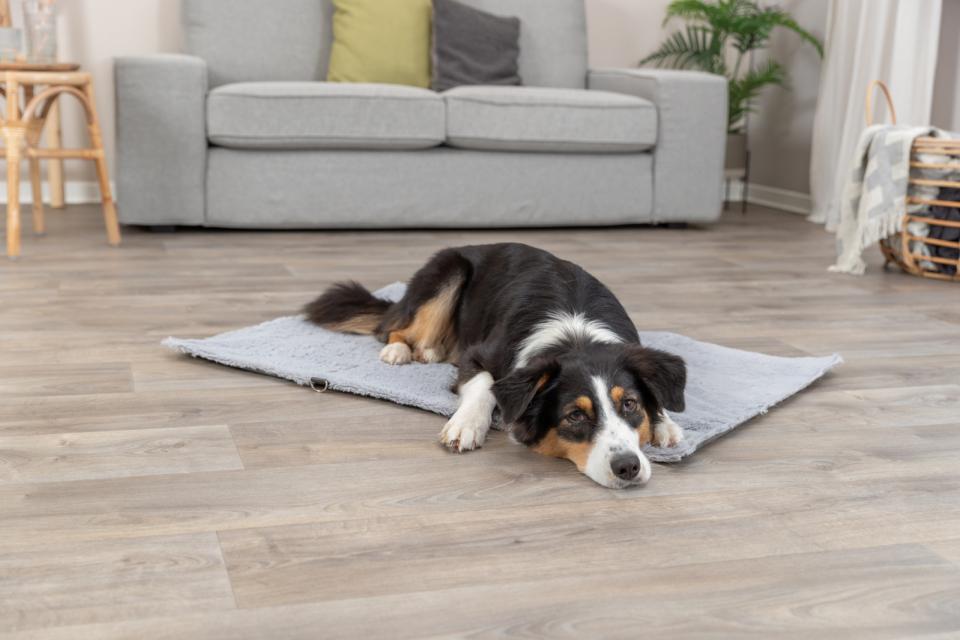 Trixie Amy rejsetæppe