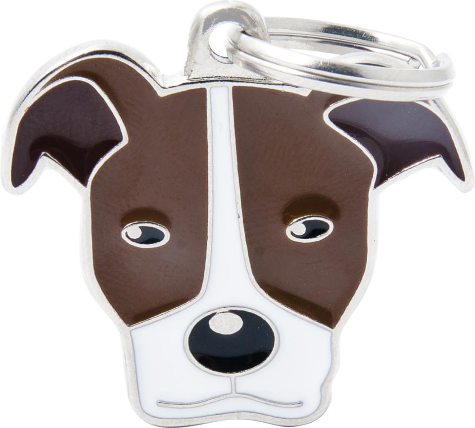 MyFamily Friends, amerikansk pitbullterrier