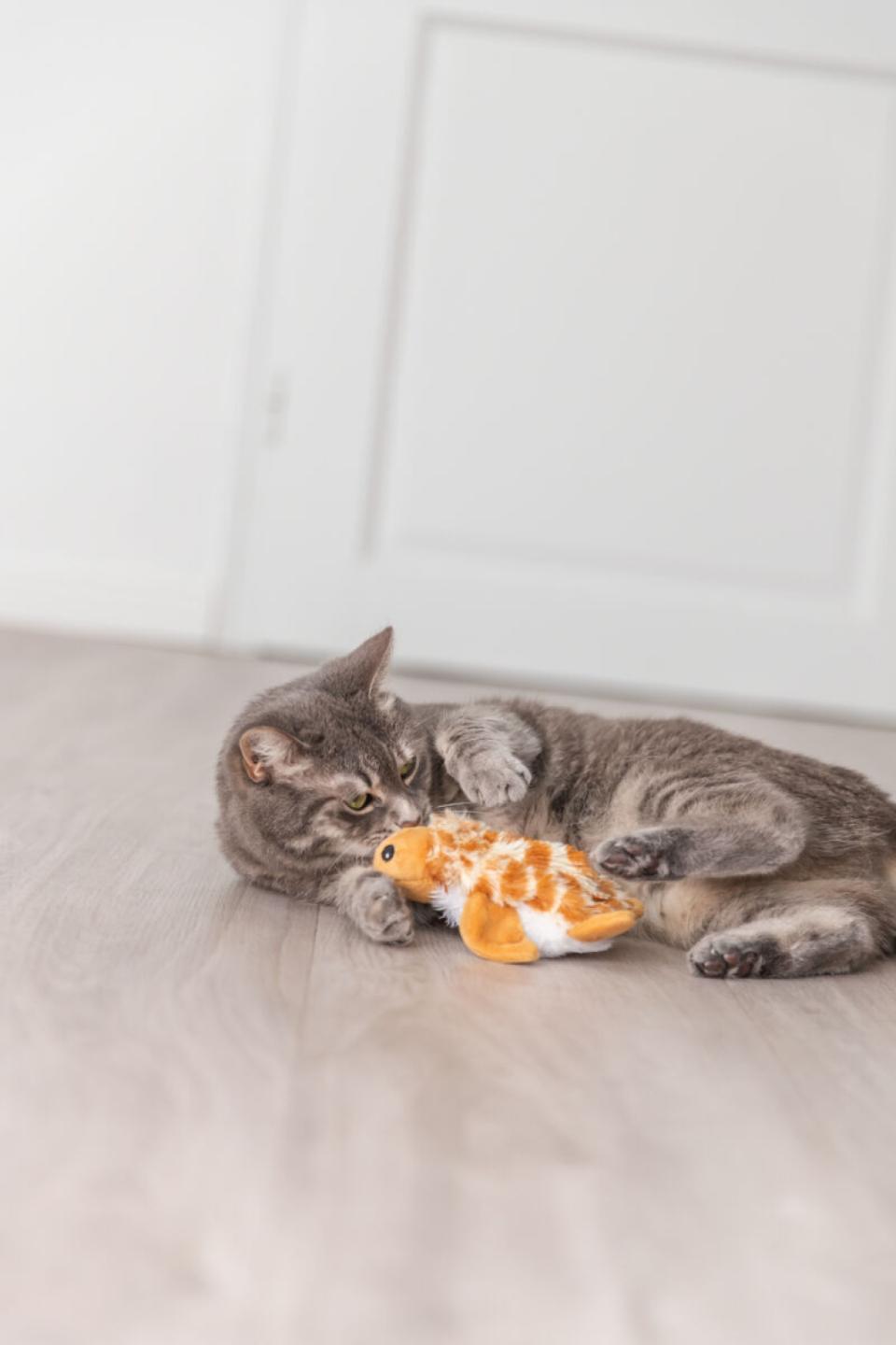 Trixie Wriggly skildpaddelegetøj til katte