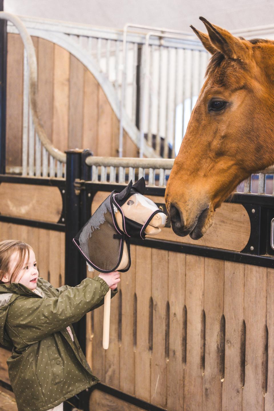 My Hobby Horse Fly mask