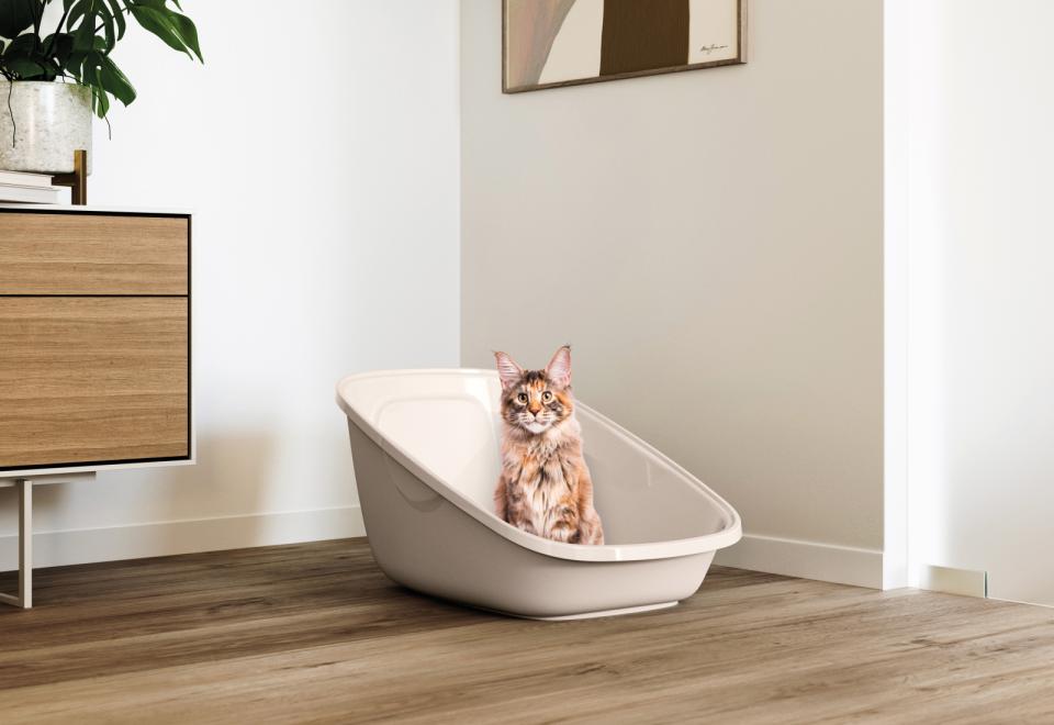 Savic Aseo Giant kattebakke