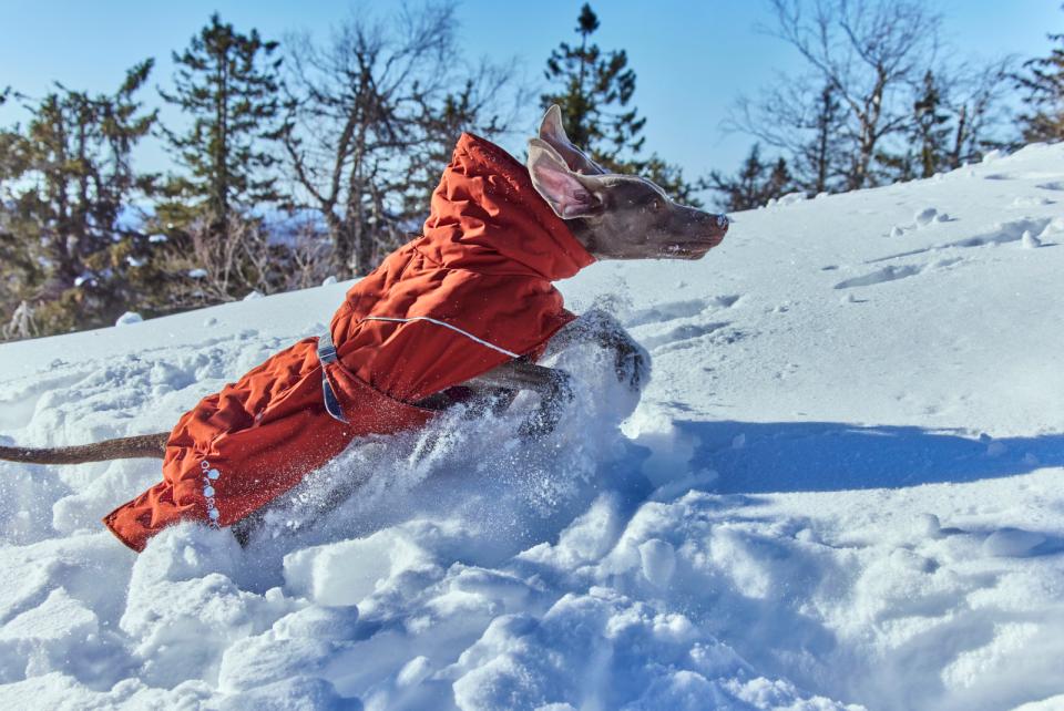 Hurtta Extreme Warmer III ECO hundefrakke