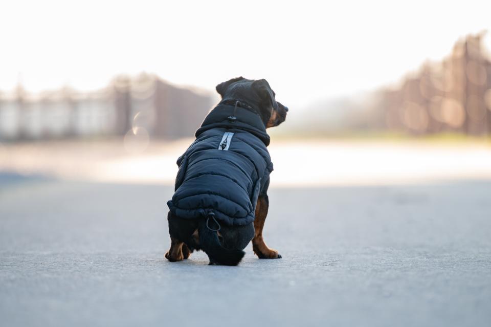 CATAGO FIR-Tech puffer hundedekken