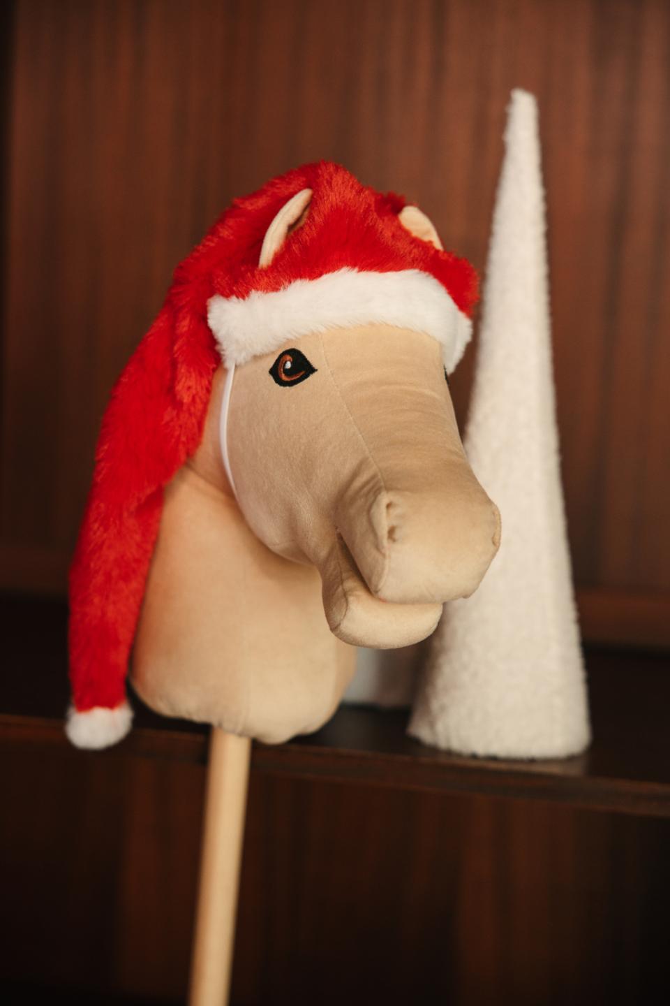 My Hobby Horse Christmas hat