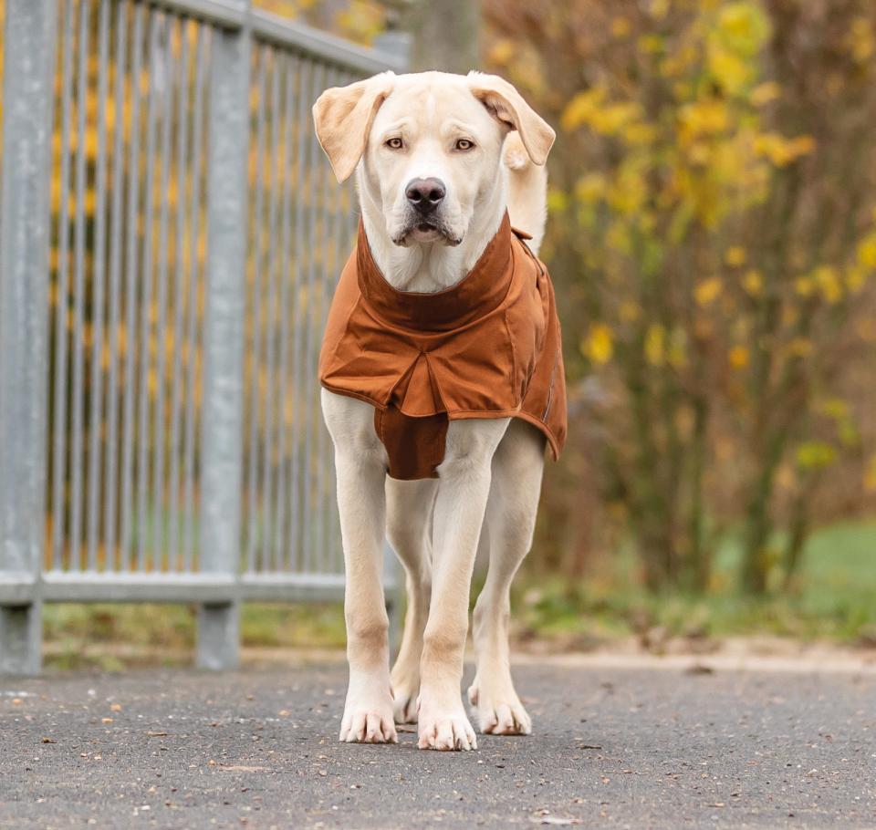 Trixie CityStyle Dublin regnfrakke til hunde