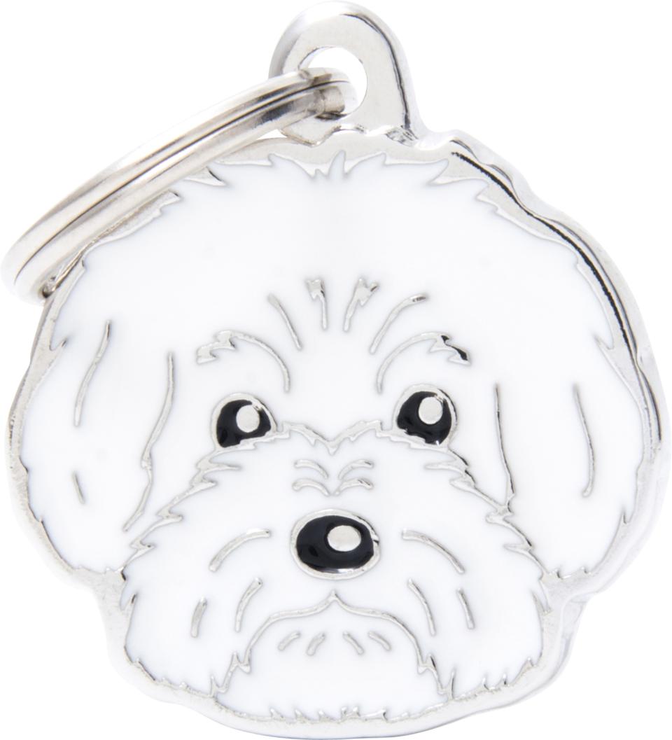 MyFamily Friends, Bichon Bolognese