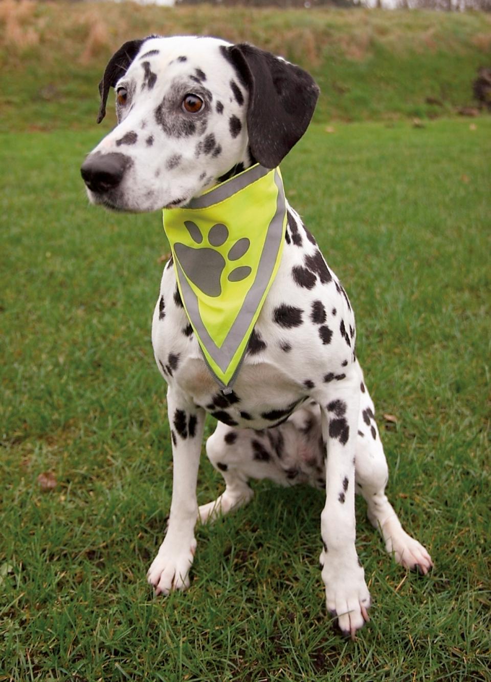 Trixie sikkerhedsbandana