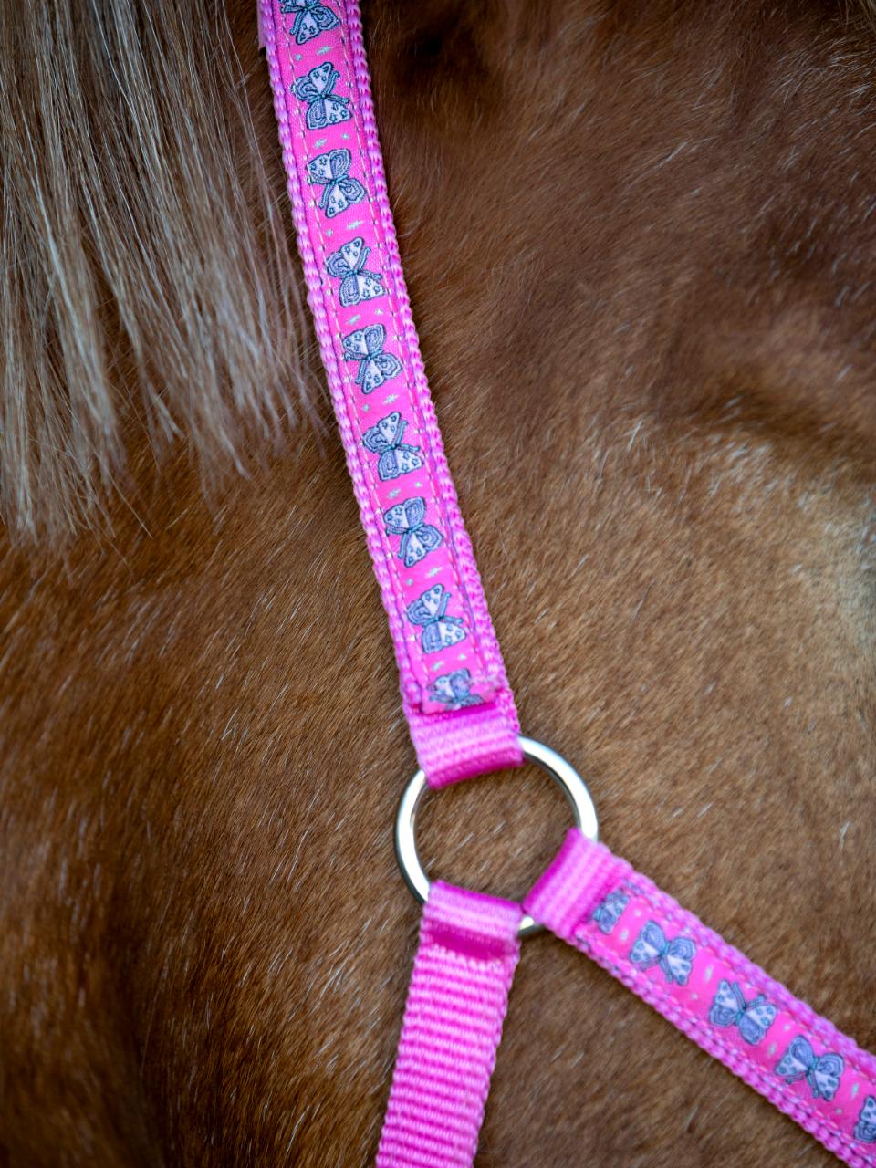 HorseGuard Butterfly grime