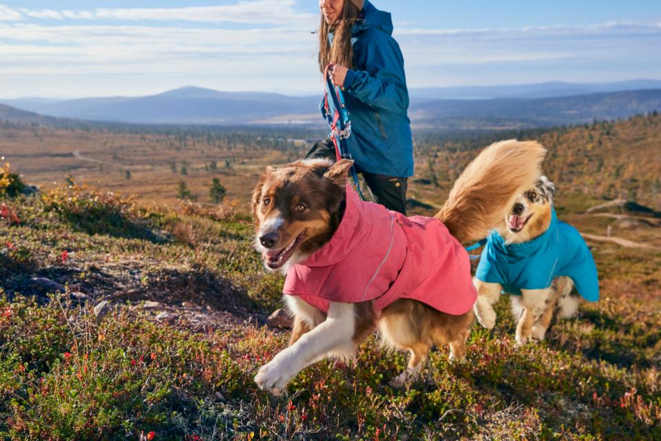 Hurtta Expedition Parka II Hundedecke