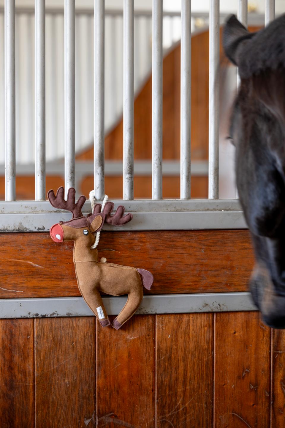 HorseGuard hestelegetøj Rensdyr