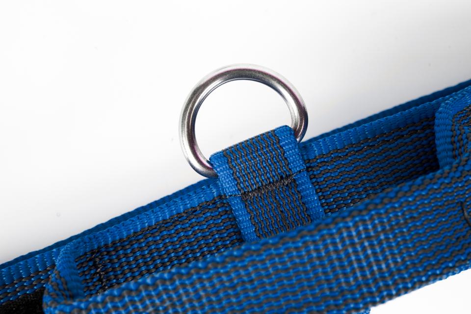 Julius-K9 C&G collars with handle