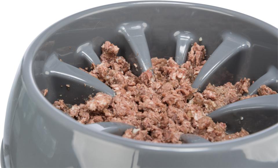 Slow Feeding bowl, plastic/TPR