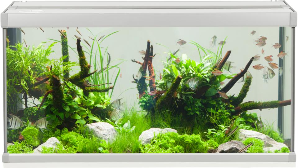 FAMILY Aquarium - 54 L
